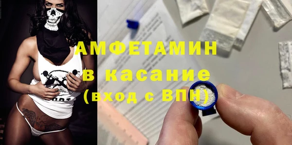 прущие грибы Баксан