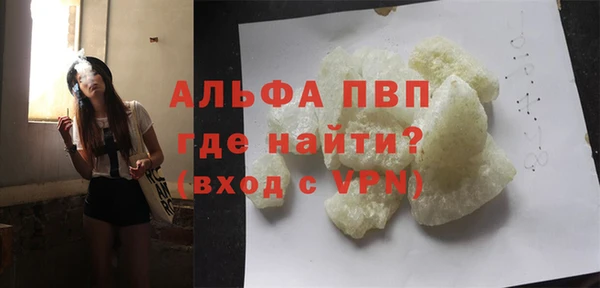 прущие грибы Баксан