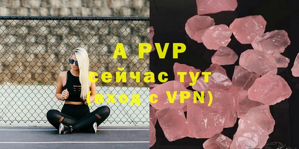прущие грибы Баксан