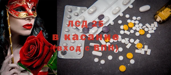 прущие грибы Баксан