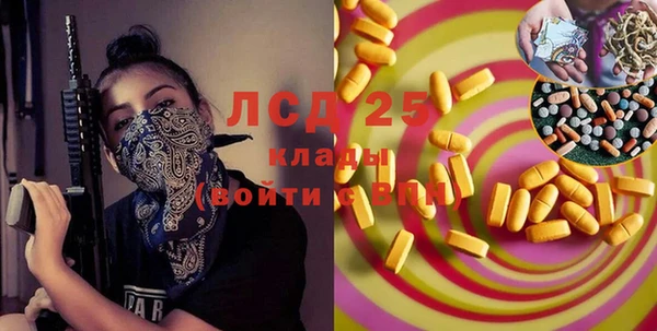 прущие грибы Баксан