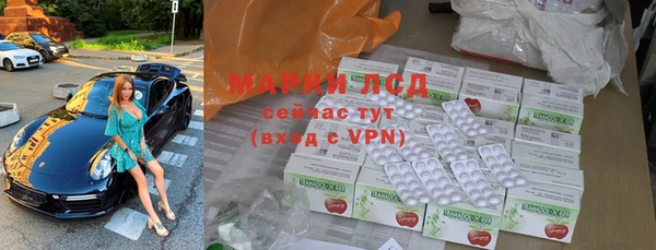 прущие грибы Баксан