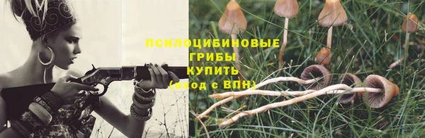прущие грибы Баксан