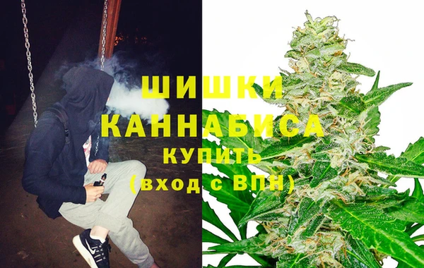 прущие грибы Баксан