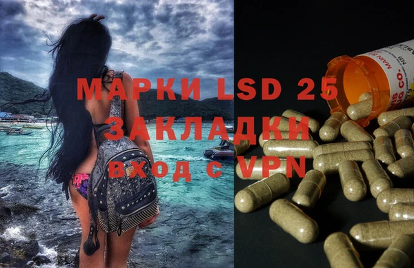 прущие грибы Баксан