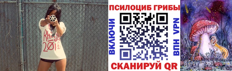 Псилоцибиновые грибы Psilocybine cubensis  Шебекино 