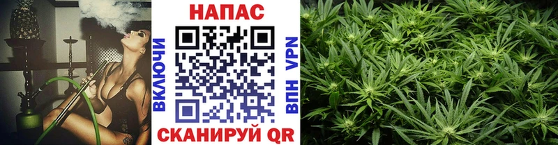 Бошки Шишки SATIVA & INDICA  Шебекино 